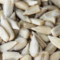 Fresh peeled sunflower seeds kernels